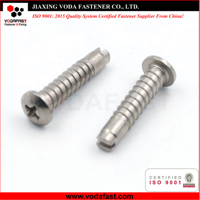 Special Customized Machine Screws