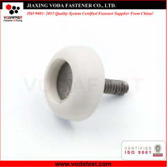 Special Customized Machine Screws