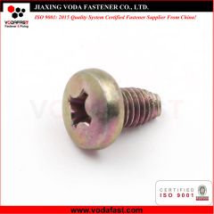 Special Customized Machine Screws