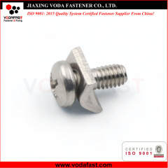 Special Customized Machine Screws