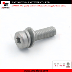 Special Customized Machine Screws