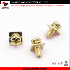 Special Customized Machine Screws