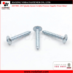 Self Tapping Screws