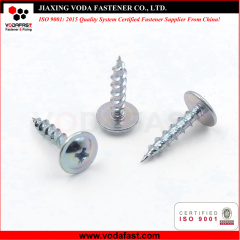 Self Tapping Screws