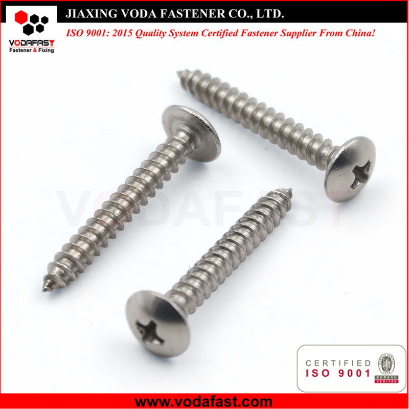Self Tapping Screws