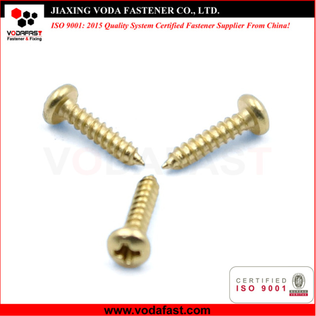 Self Tapping Screws