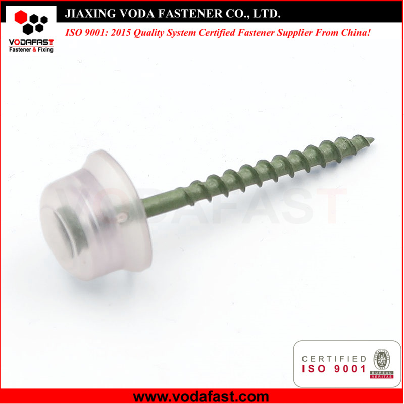 Special Customized Tapping Screws