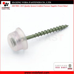 Special Customized Tapping Screws
