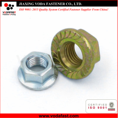 Standard Hex Flange Nuts made of Steel and Stainless Steel