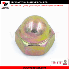 Hex Cap Nuts made of Steel and Stainless Steel