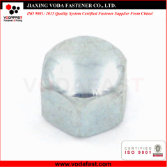 Hex Cap Nuts made of Steel and Stainless Steel