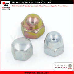Hex Cap Nuts made of Steel and Stainless Steel