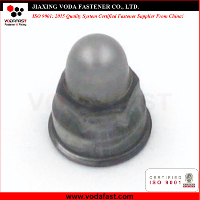 Hex Cap Nuts made of Steel and Stainless Steel