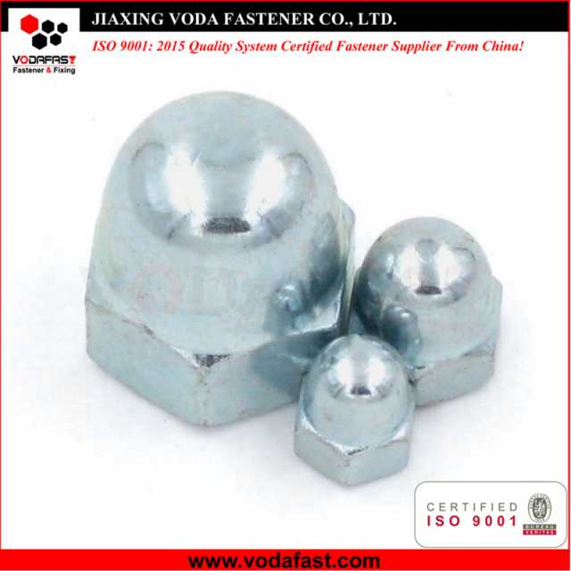 Hex Cap Nuts made of Steel and Stainless Steel