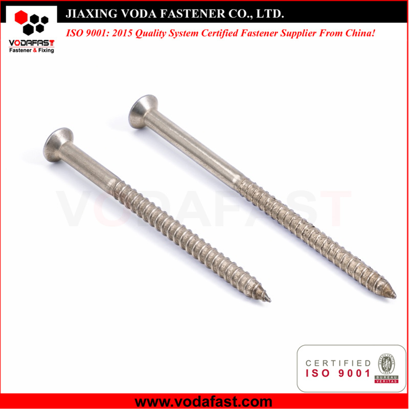 Customized Stainless Steel Screw