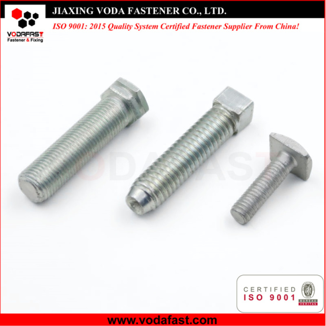 Customized Square Bolt