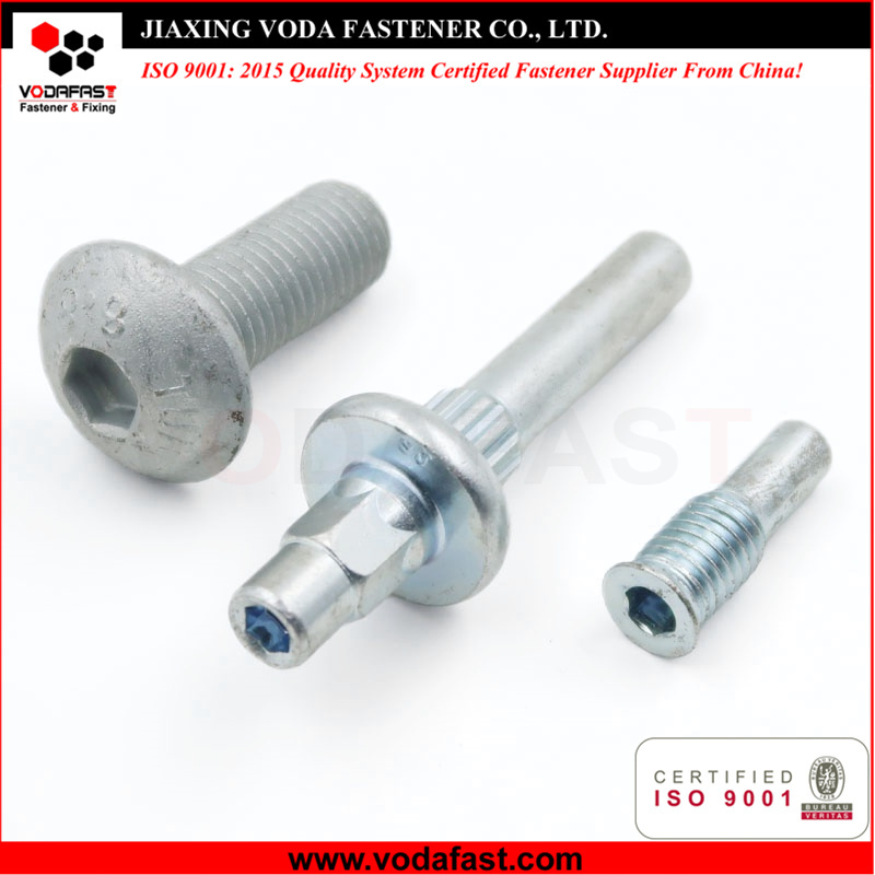 Customized Special Socket Screw