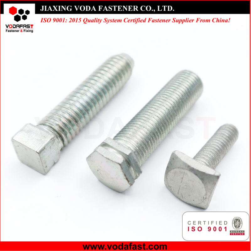 Customized Square Bolt