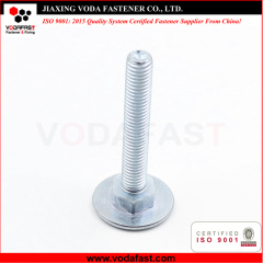 Customized Special Bolt