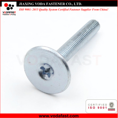 Customized Special Bolt