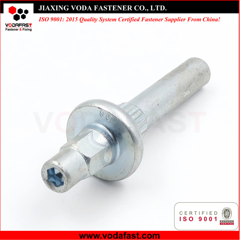 Customized Special Socket Screw