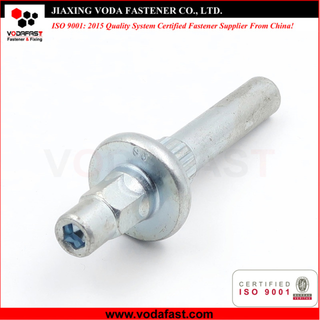 Customized Special Socket Screw