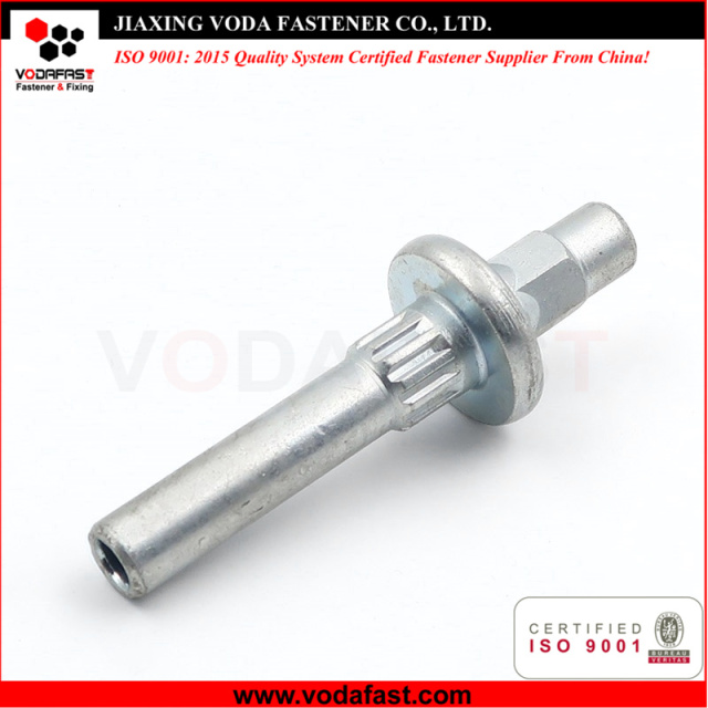 Customized Special Socket Screw
