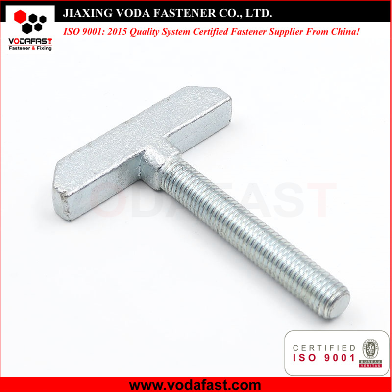 Customized T Bolt