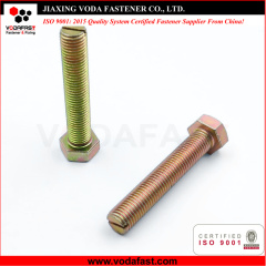 Customized Special Hex Bolt