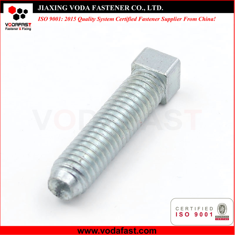 Customized Square Bolt