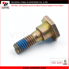 Customized Special Shoulder Bolt