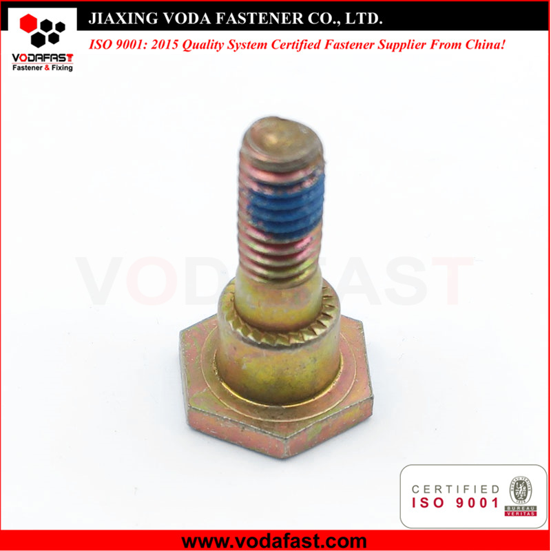 Customized Special Shoulder Bolt