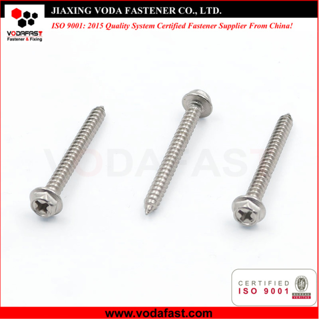 Stainless Steel Self Tapping Screws