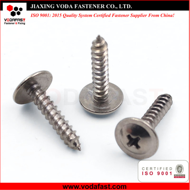 Stainless Steel Self Tapping Screws