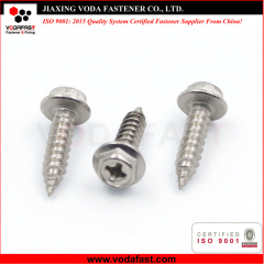 Stainless Steel Self Tapping Screws