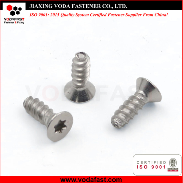 Stainless Steel Self Tapping Screws