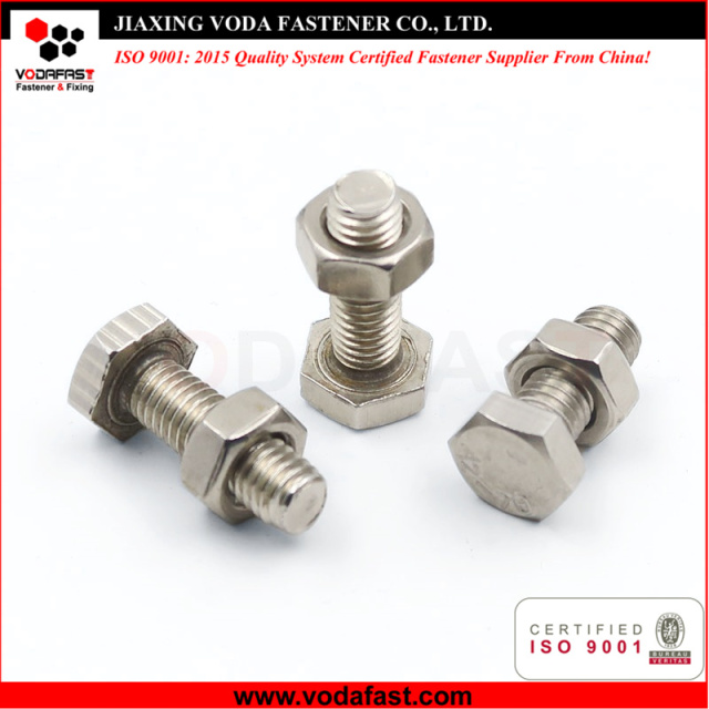Stainless Steel Hex Bolts with Nuts