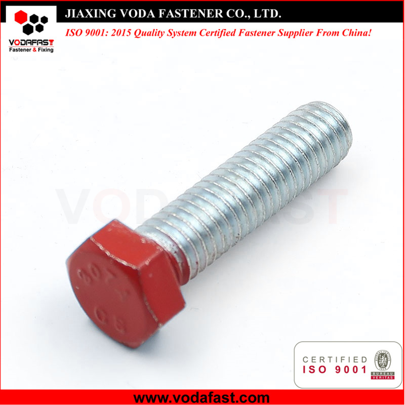 Customized Special Hex Bolt
