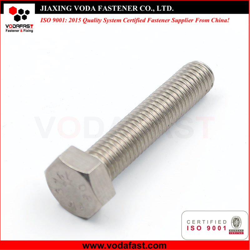 Stainless Steel Hex Bolts with Nuts