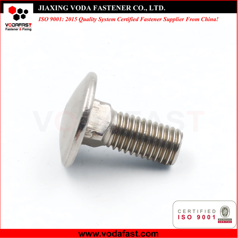 Stainless Steel Carriage Bolts