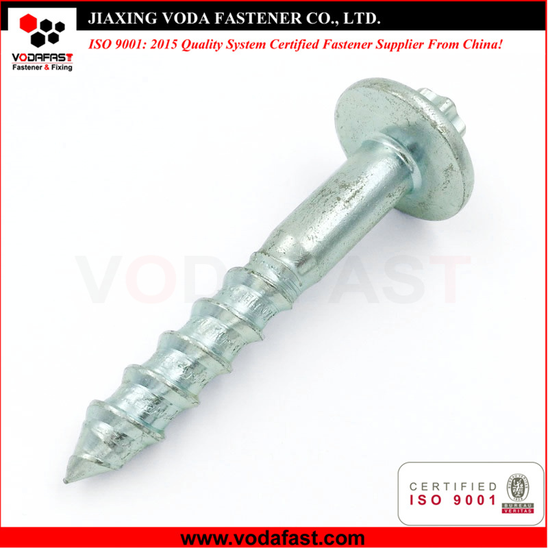 Customized Special Screw