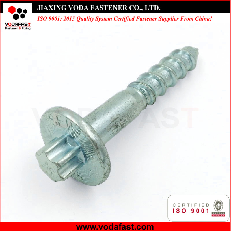 Customized Special Screw