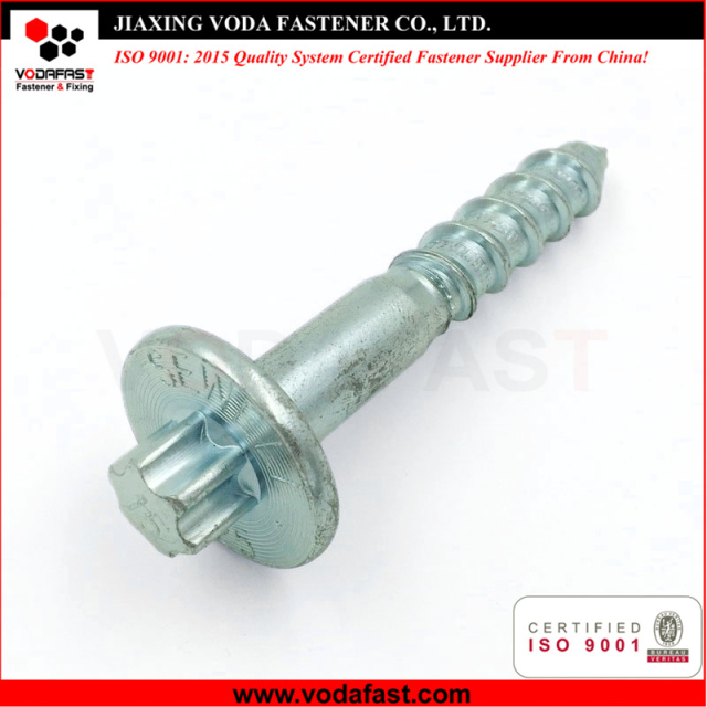 Customized Special Screw