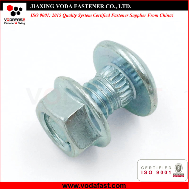 Customized Knurled Neck Bolt with Flange Nuts