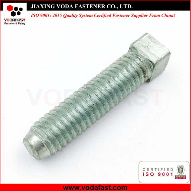 Customized Square Bolt