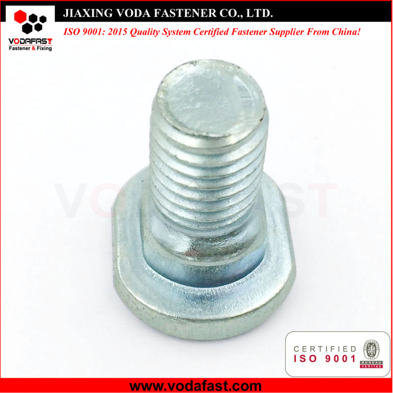 Customized Special Head Bolt with Neck