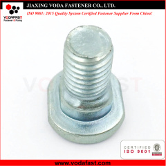 Customized Special Head Bolt with Neck