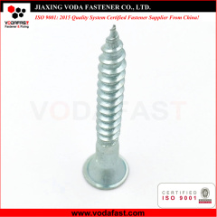 Customized Screw