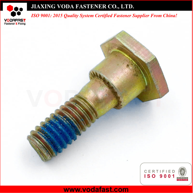 Customized Special Shoulder Bolt