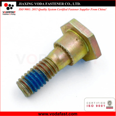 Customized Special Shoulder Bolt
